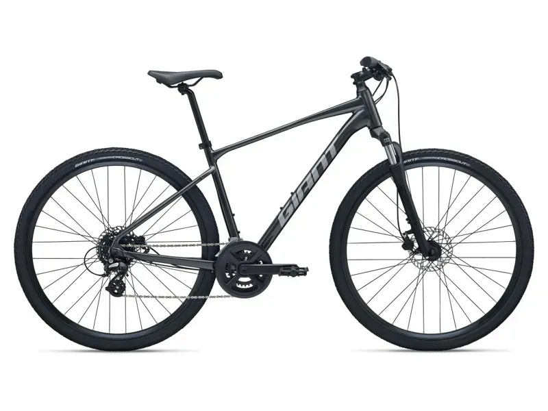 Giant Roam 4 Gravel Bike in Stealth Chrome