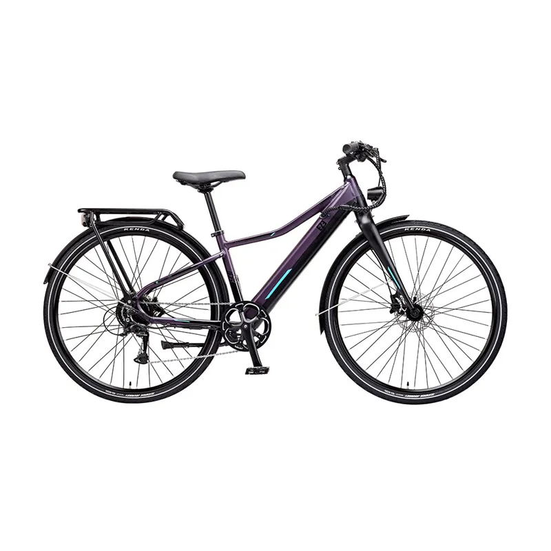 EZEGO Commute Int Unisex Purple/Black